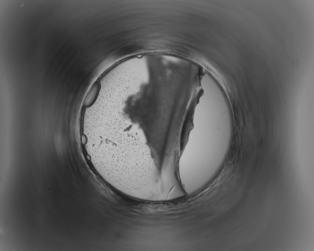 X0000086741291200705111627