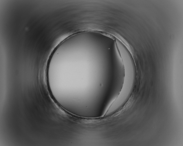 X0000086741293200705111627