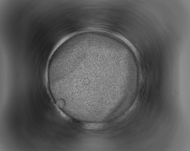 X0000086741294200705111627