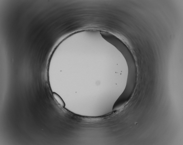 X0000086741296200705111627