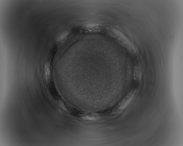 X0000086741298200705111627