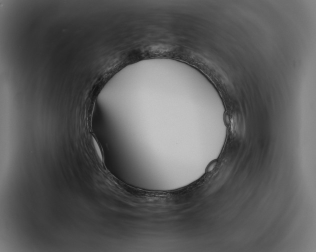 X0000086741299200705111627