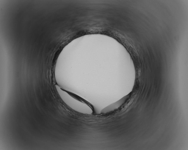 X0000086741300200705111627