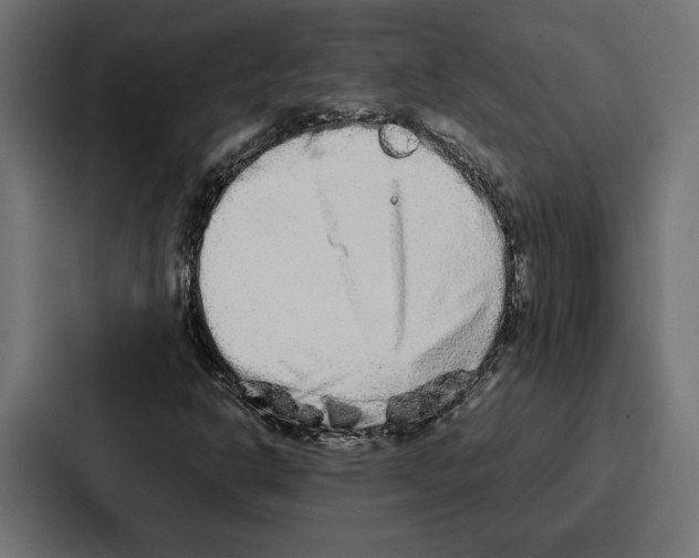 X0000086741302200705111627