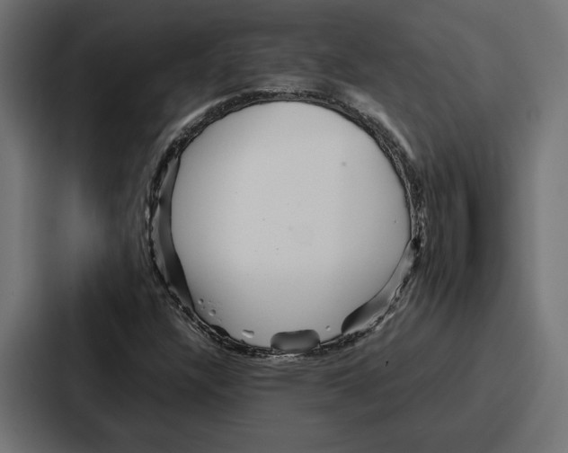 X0000086741304200705111627