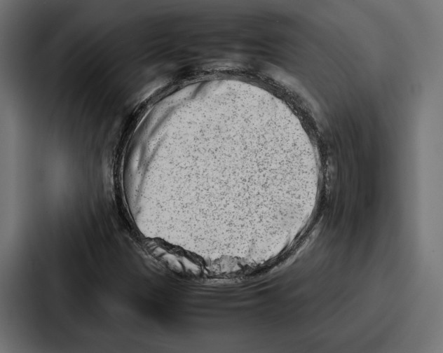 X0000086741305200705111627