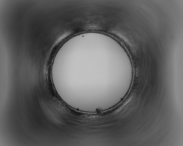 X0000086741309200705111627