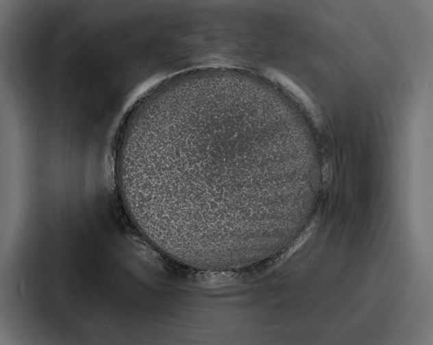 X0000086741310200705111627