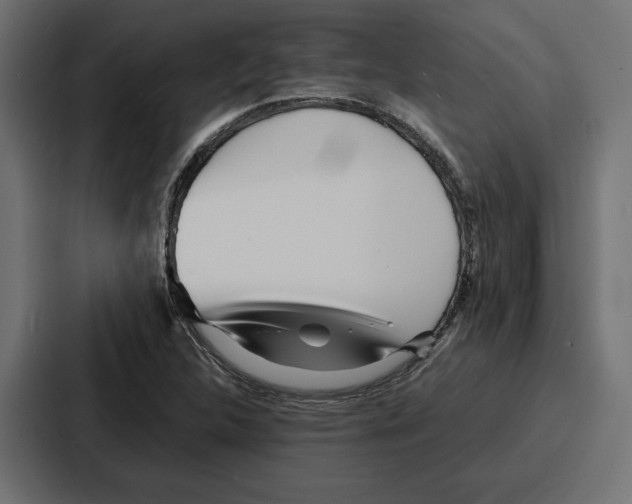 X0000086741312200705111627