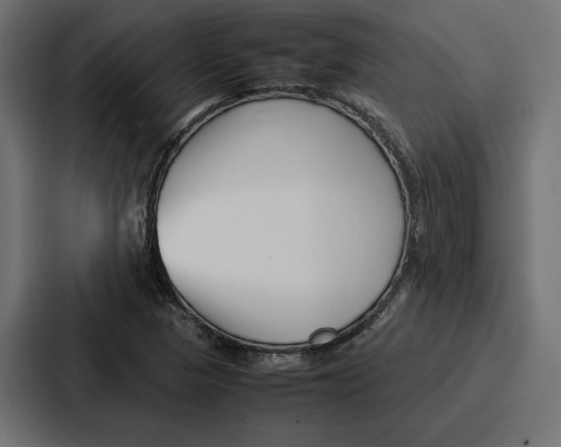 X0000086741313200705111627