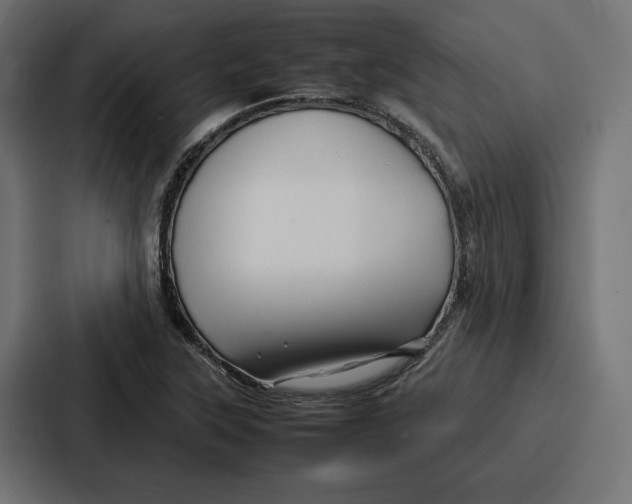 X0000086741315200705111627