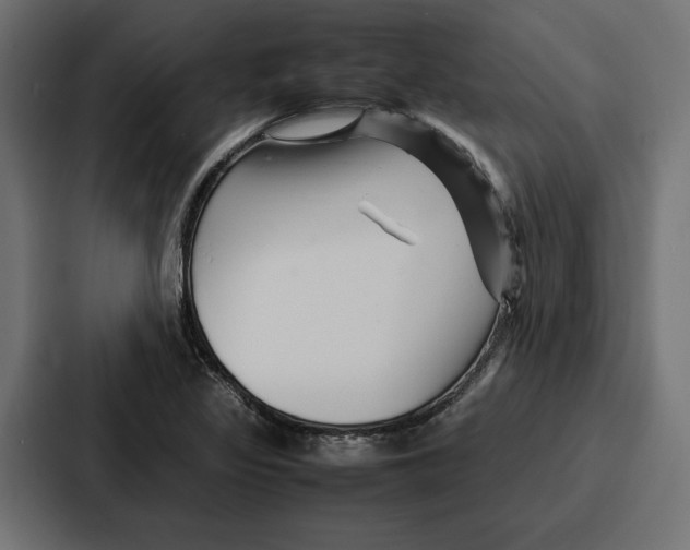 X0000086741317200705111627