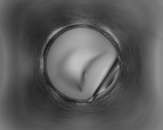 X0000086741320200705111627