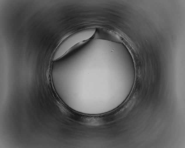 X0000086741321200705111627