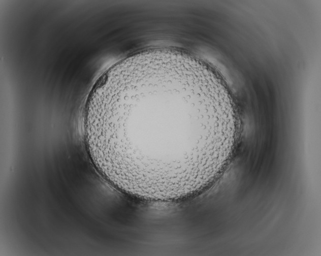 X0000086741322200705111627