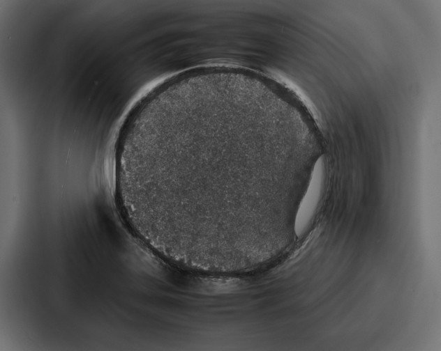 X0000086741323200705111627