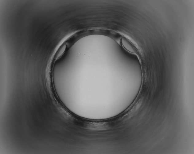 X0000086741325200705111627