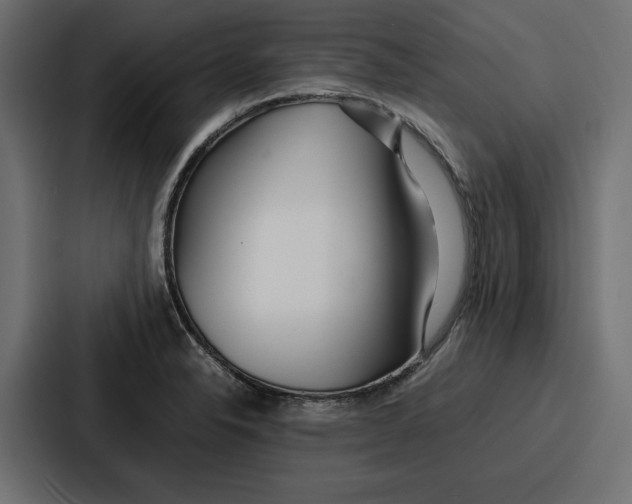 X0000086741326200705111627