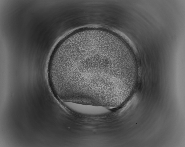 X0000086741327200705111627