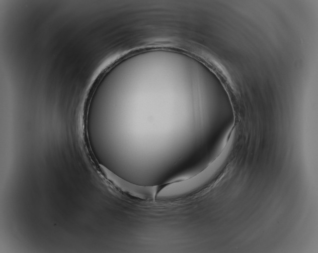 X0000086741328200705111627