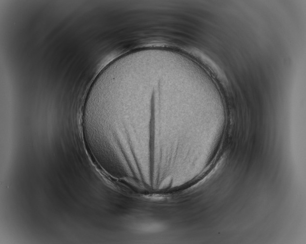 X0000086741329200705111627