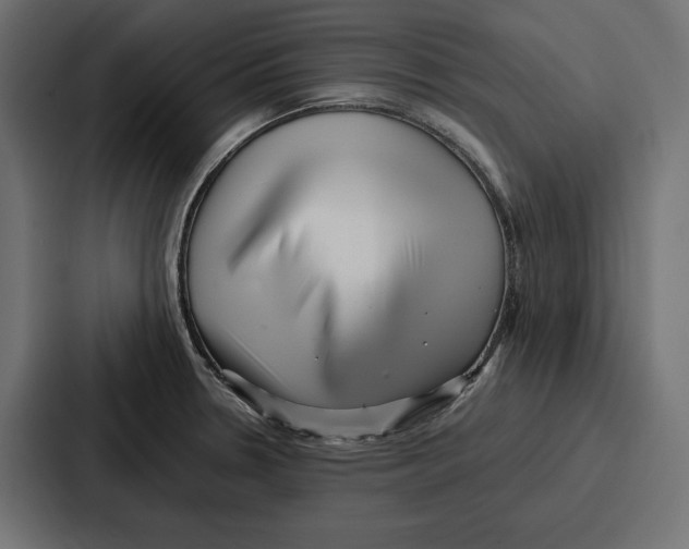 X0000086741330200705111627