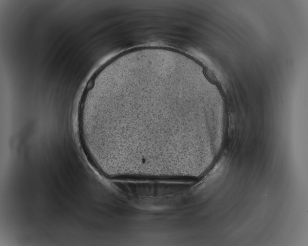 X0000086741331200705111627