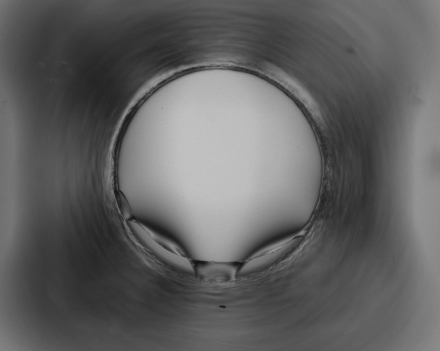 X0000086741332200705111627