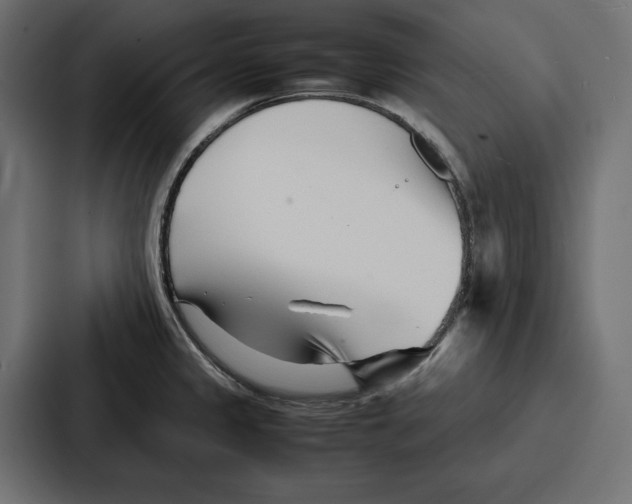 X0000086741333200705111627