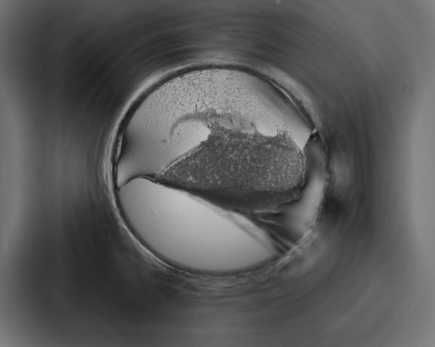 X0000086741334200705111627