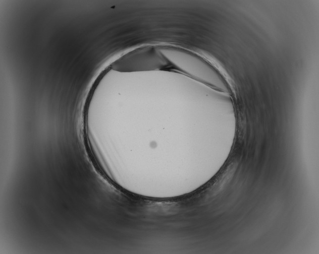 X0000086741335200705111627