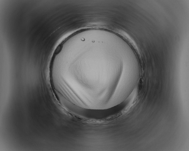 X0000086741336200705111627