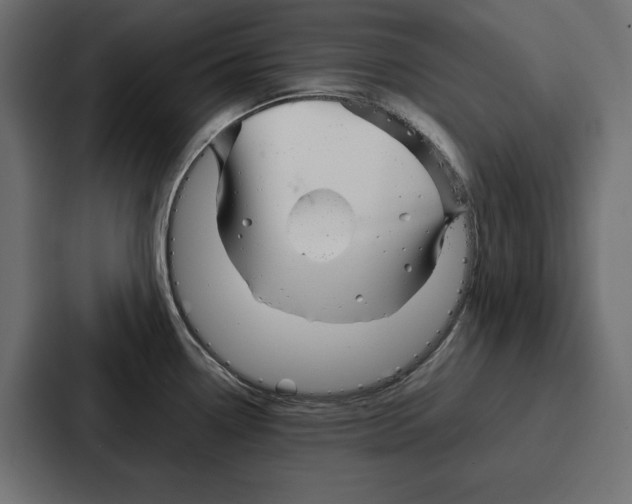 X0000086741338200705111627