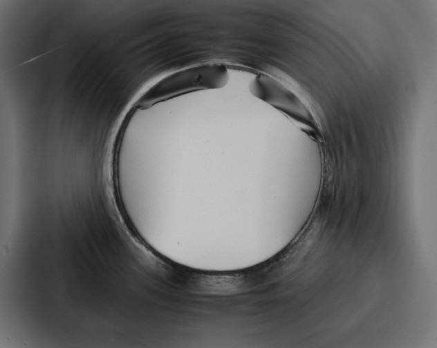 X0000086741339200705111627