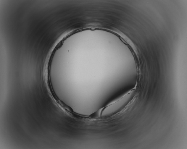 X0000086741341200705111627