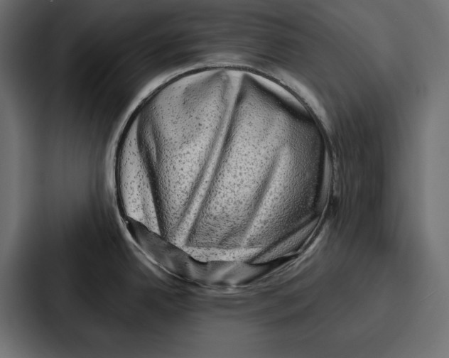 X0000086741342200705111627