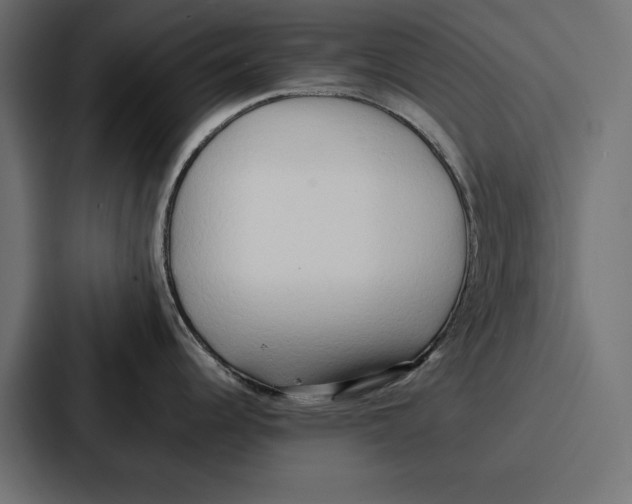 X0000086741344200705111627