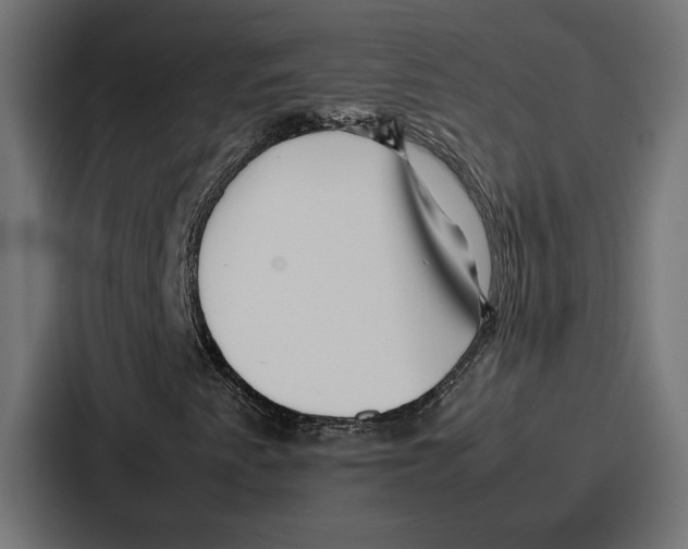 X0000086741345200705111627