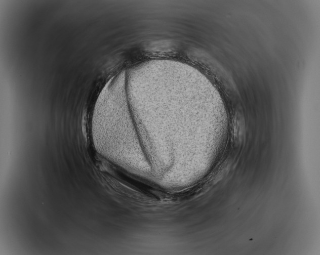 X0000086741346200705111627