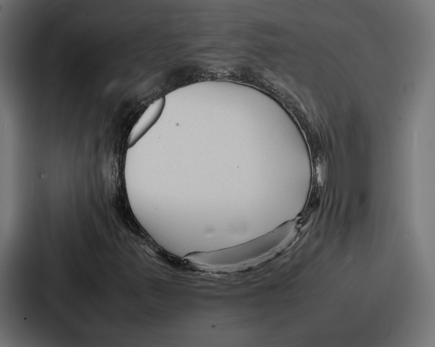 X0000086741347200705111627