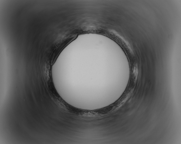 X0000086741348200705111627