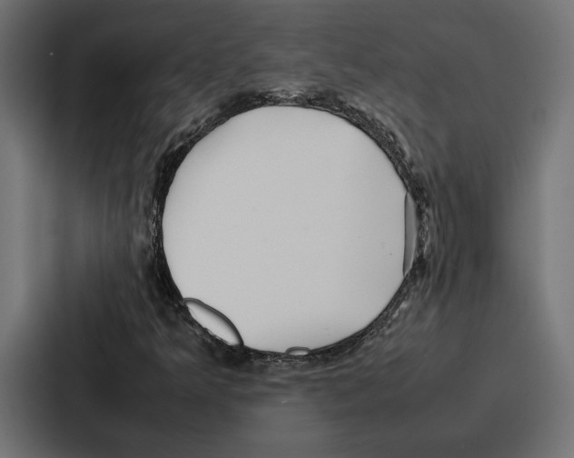 X0000086741349200705111627