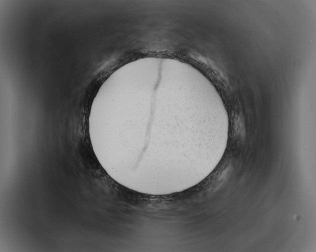 X0000086741350200705111627