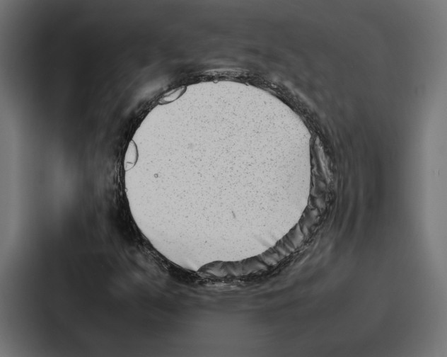 X0000086741351200705111627