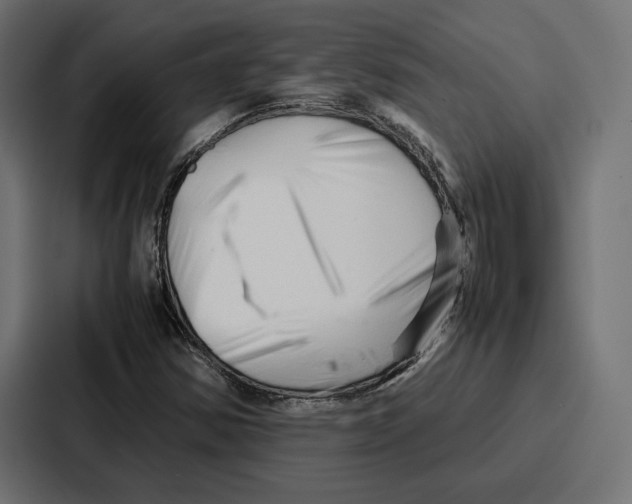 X0000086741354200705111627