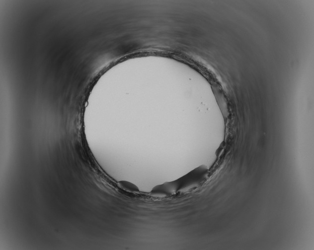 X0000086741355200705111626