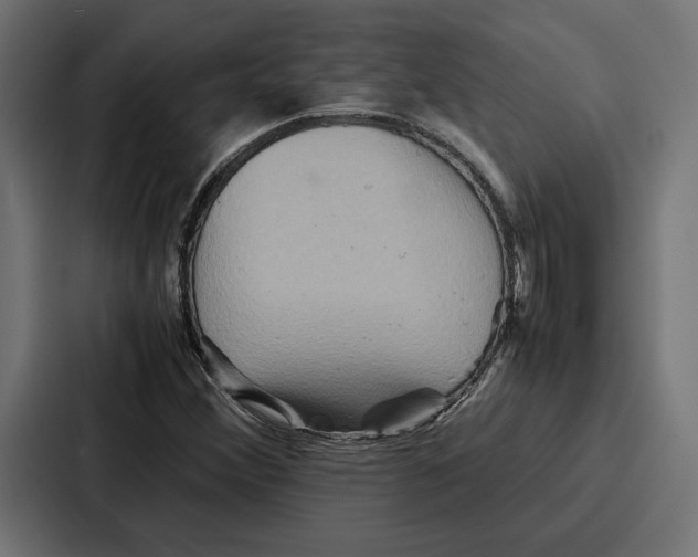 X0000086741356200705111626