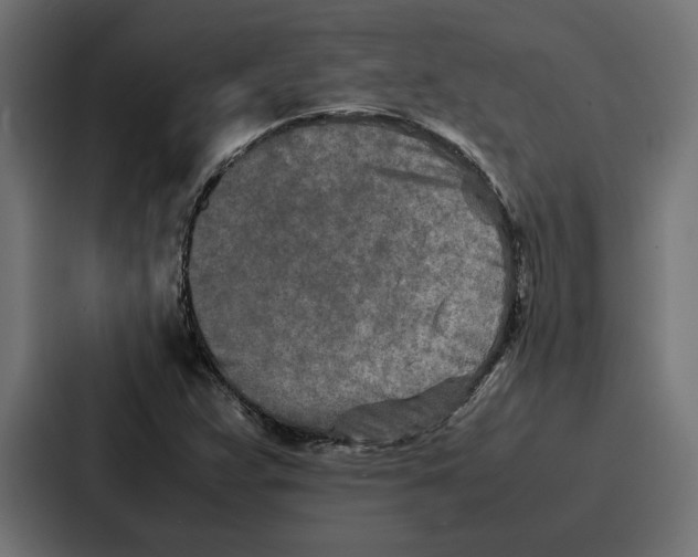 X0000086741359200705111626