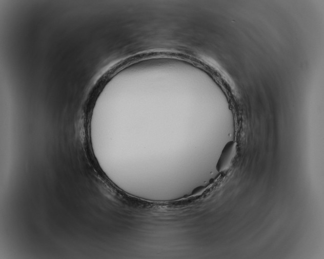 X0000086741360200705111626