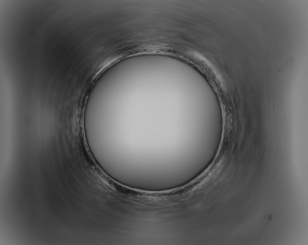 X0000086741361200705111626